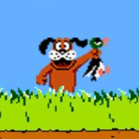 Duck Hunter – Classic Atari Game
