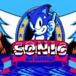 Classic Sonic SEGA Game