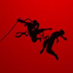 Ninja Fighter Boy