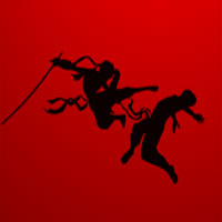 Ninja Fighter Boy