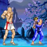 Street Fighter on Sakhr Computer